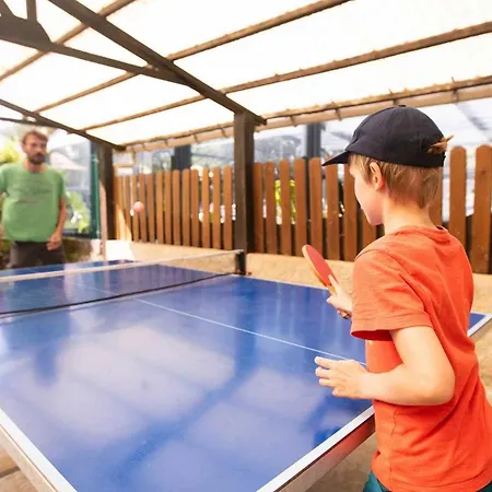 Mobilhome 4 Etoiles - Eeihed * Loupiac (Lot)